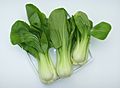 Baby Pak Choi (01)