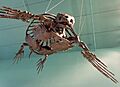 Big fossil turtle