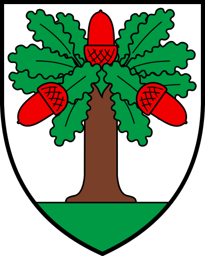 CHE Chêne-Pâquier COA