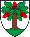 CHE Chêne-Pâquier COA