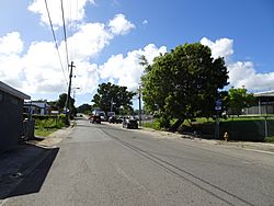 Carretera PR-201, km 0.0, Bo. Florida, Vieques, Puerto Rico, vista desde su cruce con PR-200, mirando al sur (DSC04600).jpg