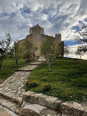 Archivo:Castillo-fortaleza en el límite entre Castilla y Aragón.