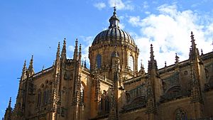 Archivo:Catedral de Salamanca (3)