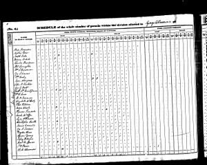 Cooley 1840 Census.jpg