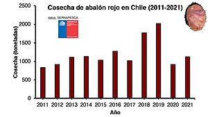 Archivo:Cosecha abalón rojo 2011 2021
