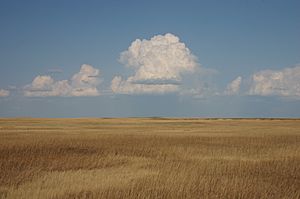Archivo:Cumulus Clouds over Yellow Prairie