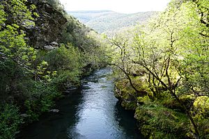 Archivo:DSC02027 El Río Lor cerca de Vilar (Courel, Lugo, Galicia)