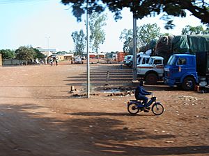 Archivo:Dedougou-Cotton