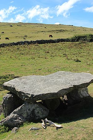 Archivo:Dolmen de Merias (Tineu) (5)