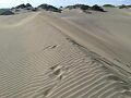 Dunas 1