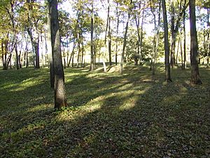 Archivo:Effigy Mounds Iowa Sny Magill
