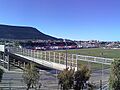 El muni con la cai