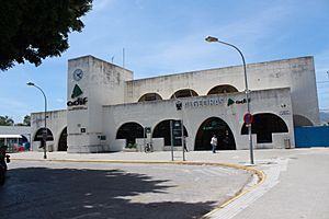 Archivo:Estación de Algeciras