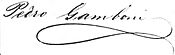 Firma Pedro Gamboni.JPG