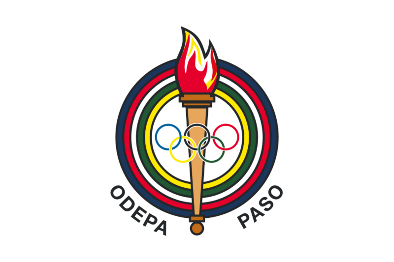 Flag of ODEPA-PASO (2011-2017)