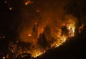 Archivo:Grizzly Creek Fire - 8.15.2020 a