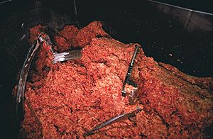 Archivo:Ground beef USDA
