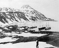Archivo:Grytviken-1914
