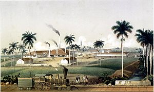 Archivo:Ingenio Acana 1857
