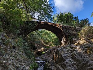 Archivo:La Nava, puente medieval