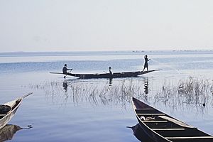 Archivo:Lac Sélingué2