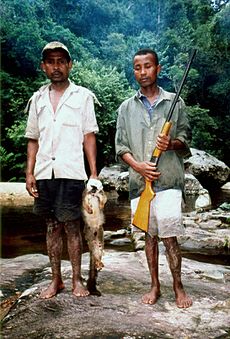 Archivo:Lemur poaching 004
