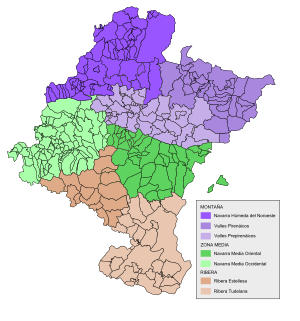 Archivo:Mapa de Navarra dividido en comarcas Geográficas