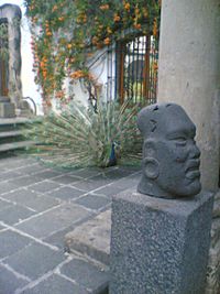 Archivo:Museo Dolores Olmedo
