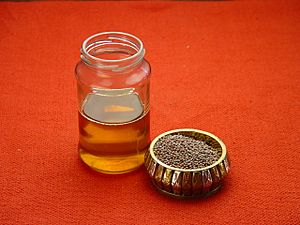 Archivo:Mustard Oil & Seeds - Kolkata 2003-10-31 00537