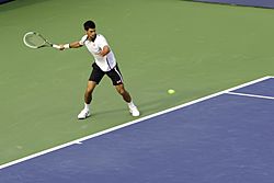 Archivo:Novak Đoković (US Open 2012)
