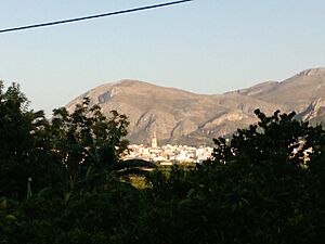Archivo:P2024 24-07-09