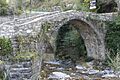PUENTE DE BROTO