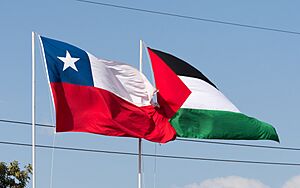 Archivo:Palestino - Universidad de Concepción 20190309 01