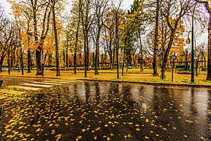 Archivo:Paris raining autumn cityscape (8252181936)