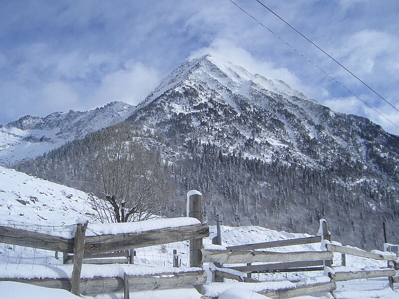 Pico o Tuc de Contesa