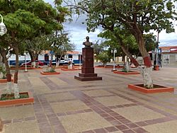 Plaza Bolívar de Los Taques 001.JPG