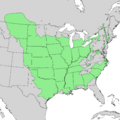 Populus deltoides range map 2