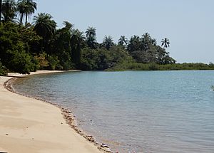 Archivo:Praia de Ofir, Bolama, Guiné-Bissau – 2018-03-03 – DSCN1183