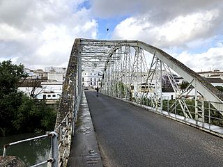 Puente San Miguel Arcos2.jpg