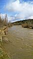 Río Torío a su paso por Villamoros de las Regueras