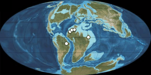 Archivo:Spinosaurid fossils palaeogeographic map