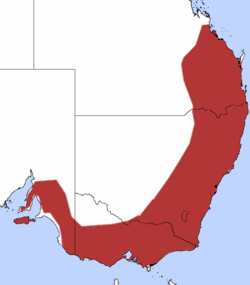 Distribución de Acanthiza lineata en Australia