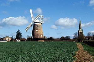 Archivo:Thaxted Windmill and Church - geograph.org.uk - 158193