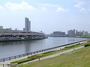 Archivo:Tokyo-sumida-river-from-suijin-bridge