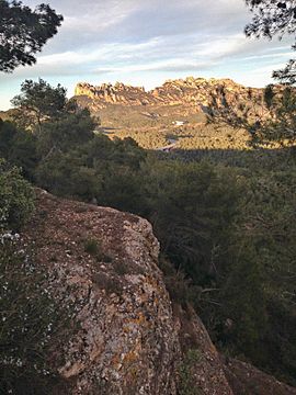 Vista de l'espai PEIN "Roques Blanques" (El Bruc).jpg