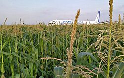 Wreckage of Ural Airlines Flight 178 (3).jpg