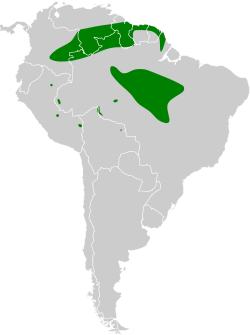 Distribución geográfica del saltarín negro.
