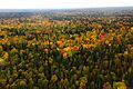 Yuganskiy nature reserve aerial view