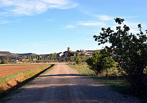 Archivo:1-Rincónademuz-paisaje-Torrebaja (2016)3144