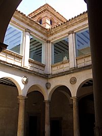 Archivo:Agreda - Palacio de los Castejones